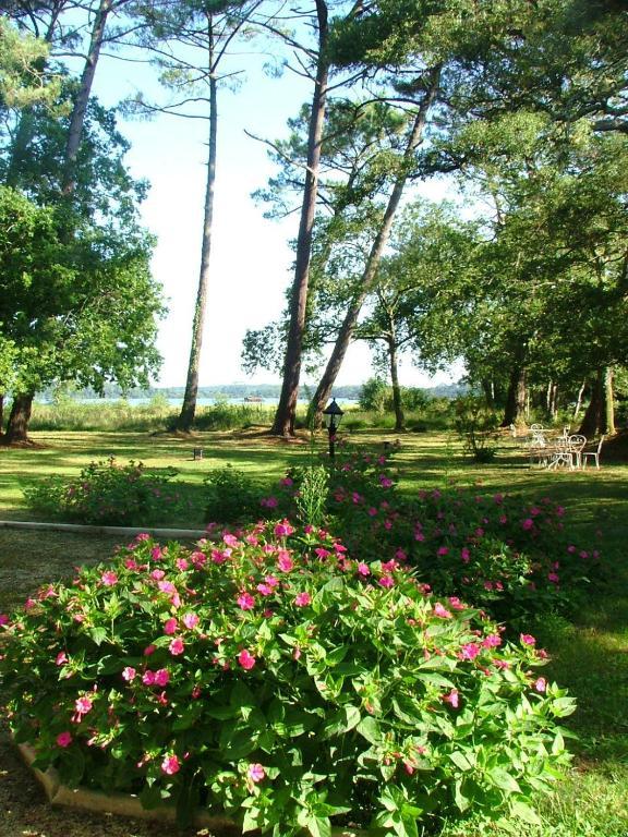 Villa De L'Etang Blanc Seignosse Exteriör bild