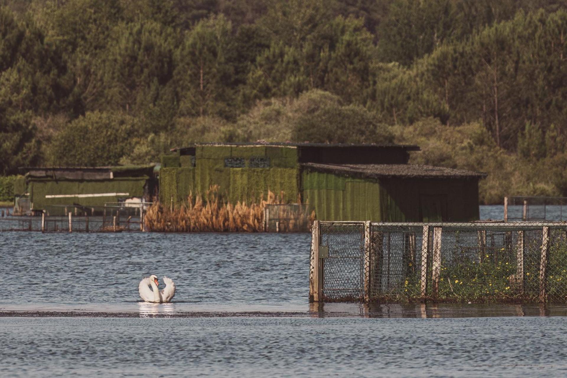 Villa De L'Etang Blanc Seignosse Exteriör bild