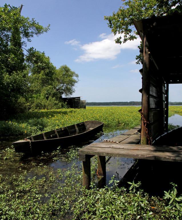 Villa De L'Etang Blanc Seignosse Exteriör bild